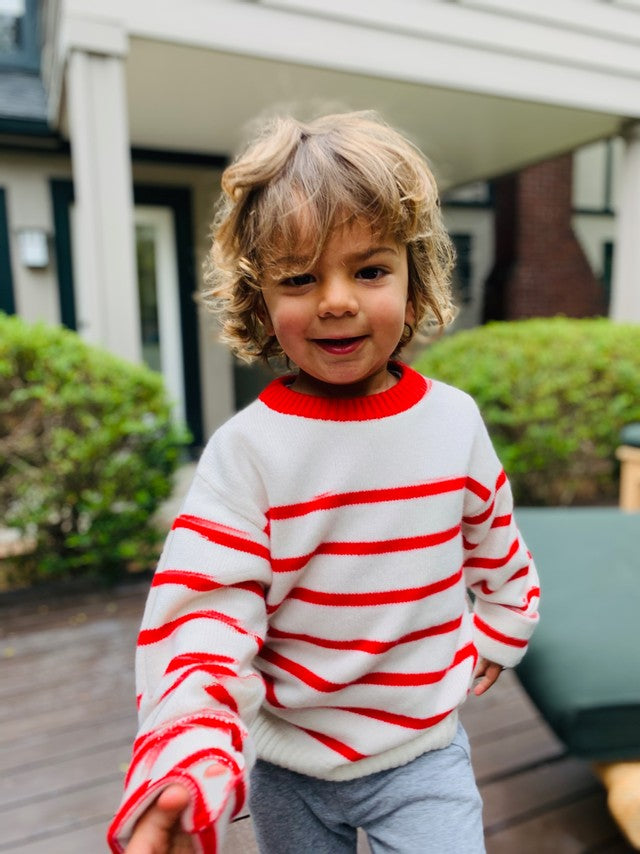 The Mini Minneapolis Sweater | Sophia Li powered by Public Habit